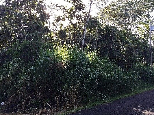 2nd image of N Ono St