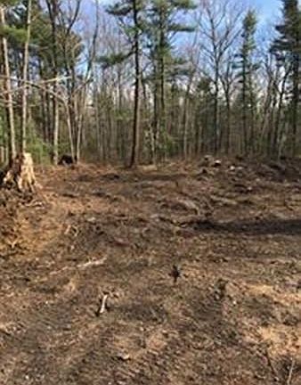 3rd image of 3 Shadow Woods Ln
