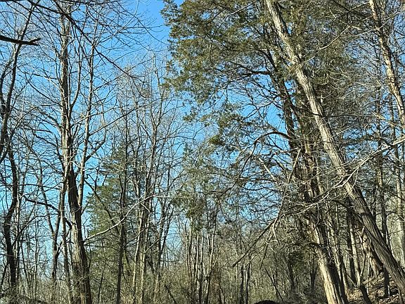 5th image of 4695 Rabbit Hash Rd