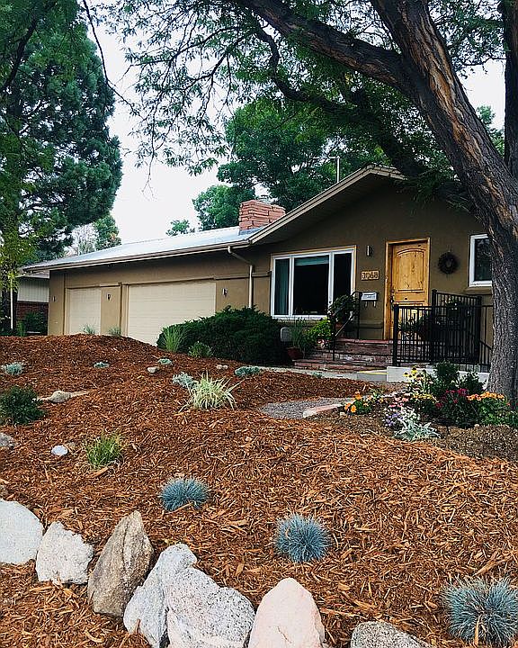 Drip irrigation in xeriscape