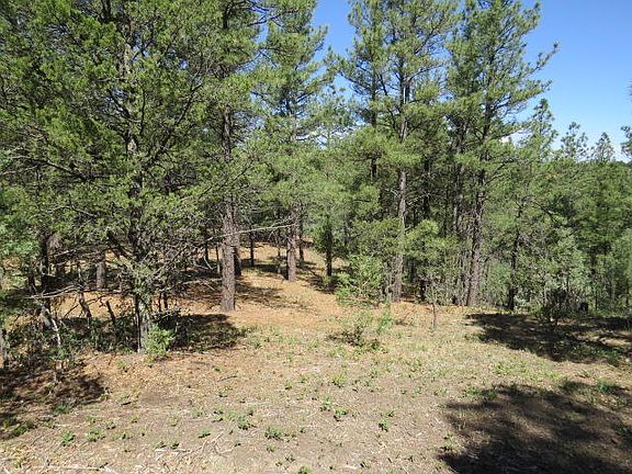 3rd image of 36515 Alpine Meadows Dr