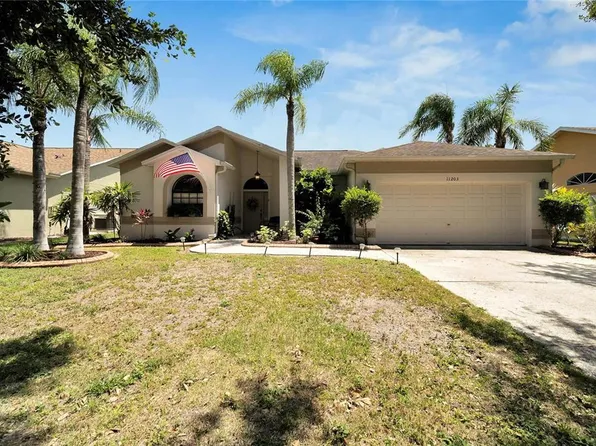 11203 Longbrooke Dr, Riverview, FL 33579