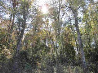 3 Acres Sw Bryan Earnhart Rd #1, Madison, FL 32340