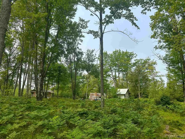 Co Road Cx Rd, Ishpeming, MI 49849