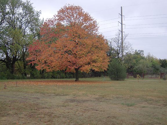 Lots of mature trees