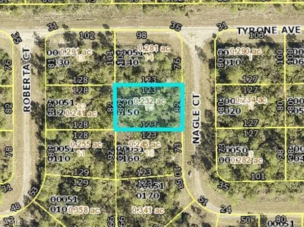 313 Nagle Ct, Lehigh Acres, FL 33972