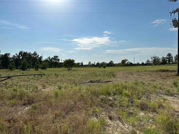 LOT 1 County Road 3612, Brownsboro, TX 75756