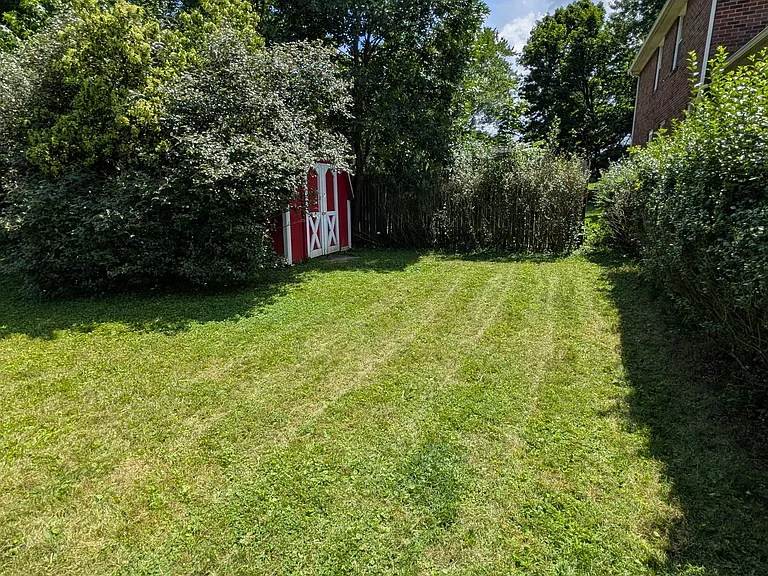 back of yard with shed