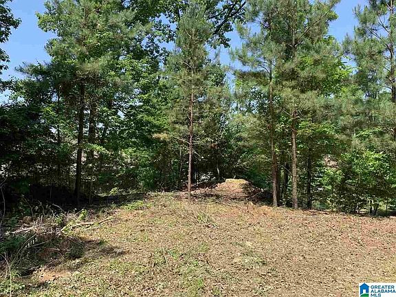 3rd image of 1055 Laurel Lakes Dr