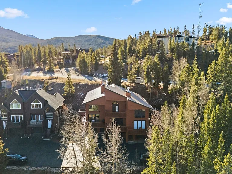 1682 Boreas Pass Rd #C — Photo 58