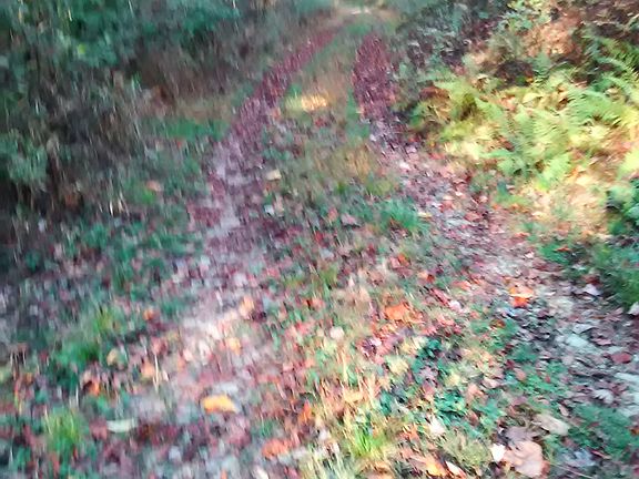 Lane accesses property