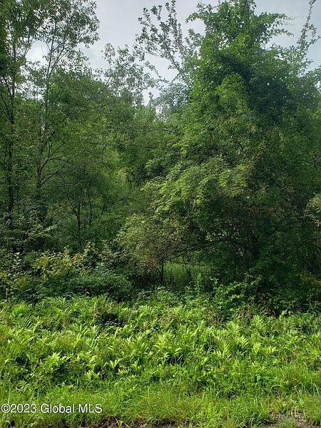 4th image of L44 Kinderhook Ln