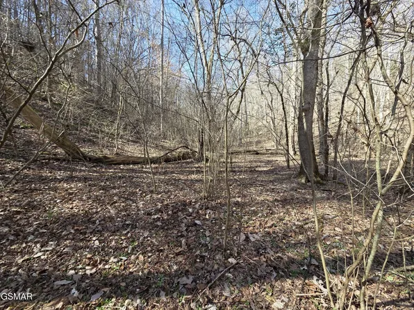 0 Baysinger Rd, Newport, TN 37821