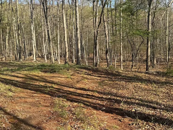 0 Shadoe Hollow Rd NE, Cumberland, MD 21502