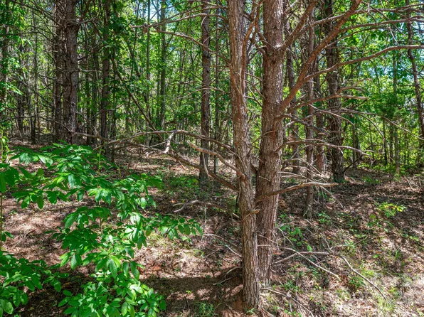 LOT 12 Meadow Crossing Dr, Rutherfordton, NC 28139