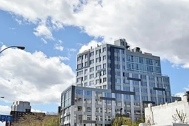 Rented by Bold New York