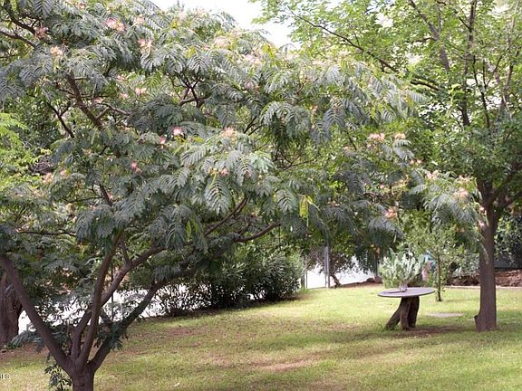 UNADJUSTEDRAW_thumb_1c5c