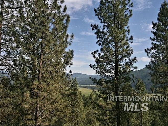 2nd image of 79 White Pine Dr #80