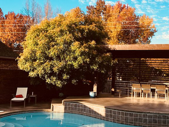 Chinese pistache in November