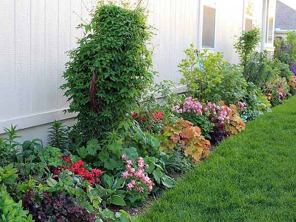 Low-Maintenance Landscaping