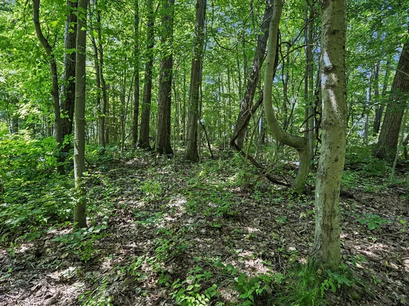 V/l Middle Road 45 #&-46, Three Rivers, MI 49093