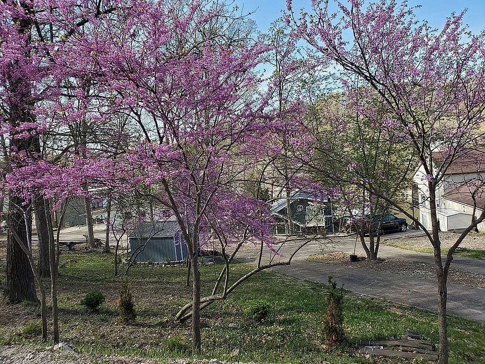 Think Spring