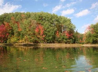 3 Lakes Club Trl, Mancelona, MI 49659