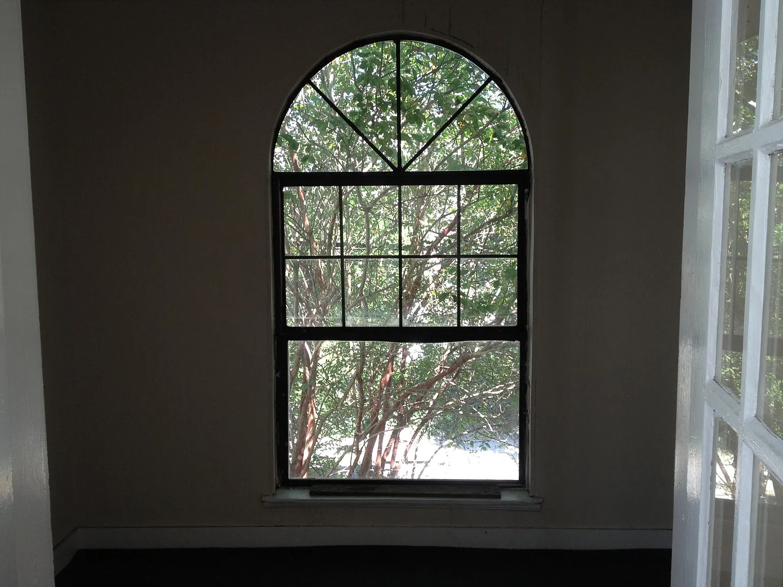 1 bed, 500 sqft, $750 — Photo 4