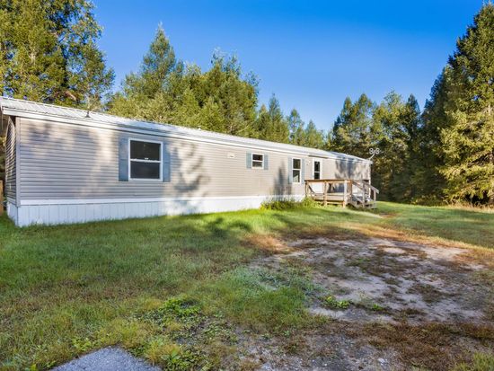 8142 Sadie Ln, Mesick, MI 49668