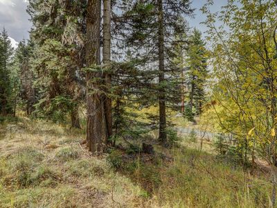 1150 Bell Flower Pl, McCall, ID, 83638