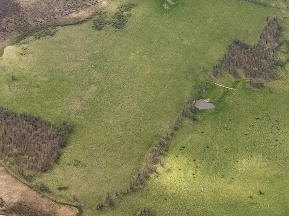 96th St SW, Motley, MN 56466