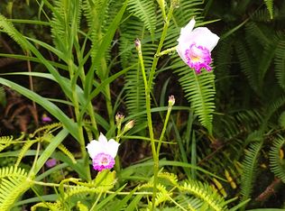 Tutu Ln LOT 395, Pahoa, HI 96778