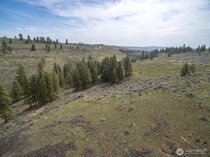3rd image of 107 Wild Turkey Road