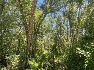 Buildingstone St LOT 29, Webster, FL 33597