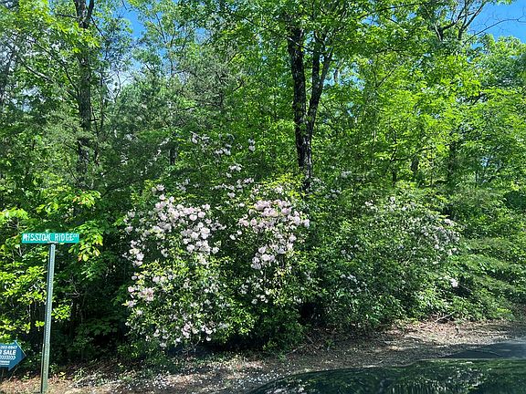 5th image of 35 Mission Ridge Ct