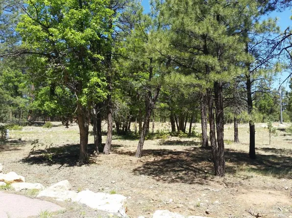 2535 San Juan Dr, Happy Jack, AZ 86024