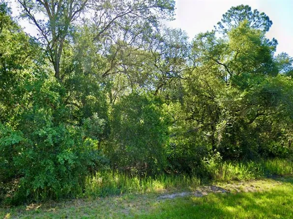SE 105th Pl Lot 51, Ocklawaha, FL 32179