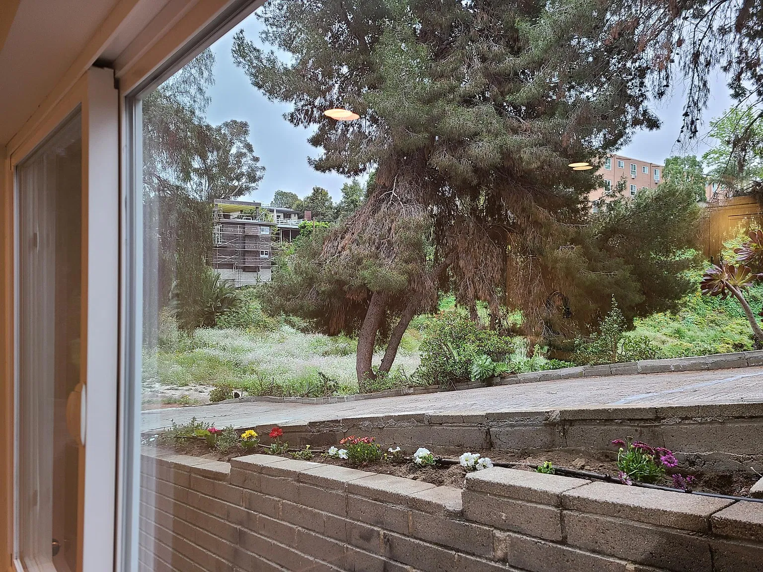 Studio, 426 sqft, $1,825 — Photo 2