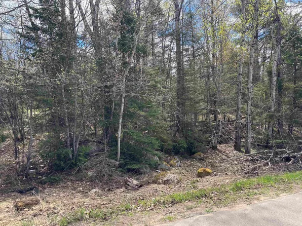 Al County Rd, Champion, MI 49814