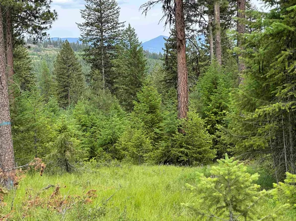 LOT-36XX Sheridan Rd #C, Republic, WA 99166