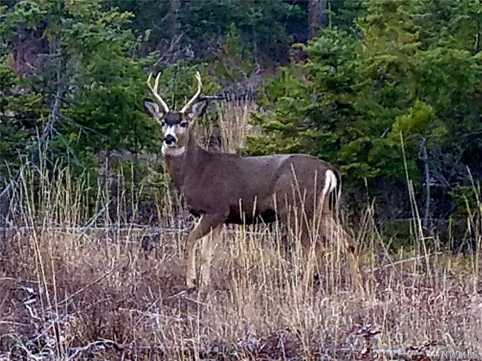 1st image of 130 Tall Pines Dr Lot C
