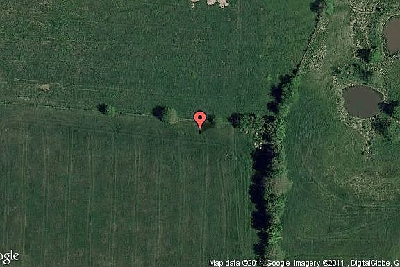 Map View