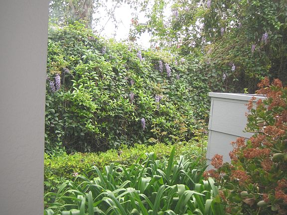5th image of 4572 Waterville Dr