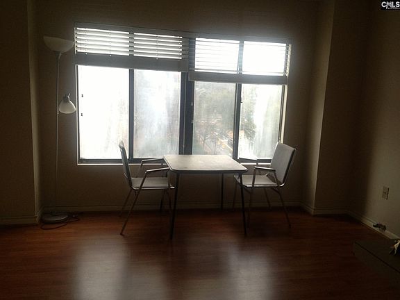 4th image of 1600 Park Cir APT 617