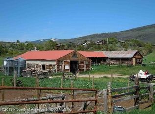 623 Fender Ln, El Jebel, CO 81623