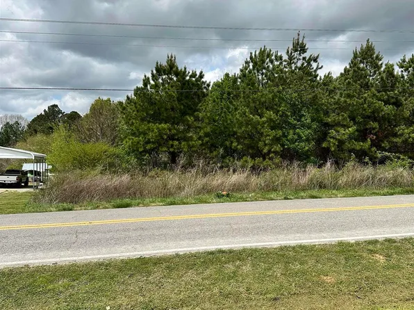 LOT 5 Salem Minor Hill Rd, Lester, AL 35647