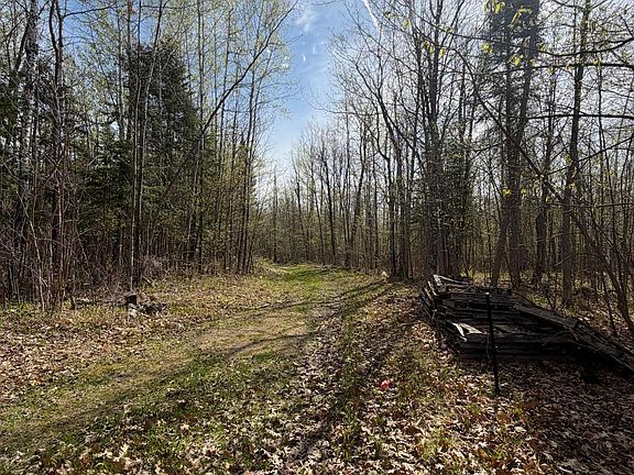 2nd image of 35294 State Highway 38