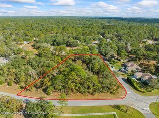 12078 Lark Sparrow Rd, Weeki Wachee, FL 34614