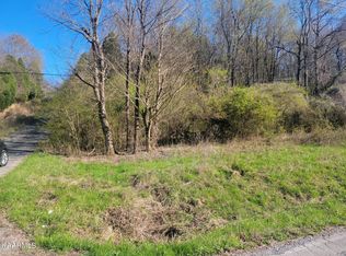 2 Hinch St, Spring City, TN 37381