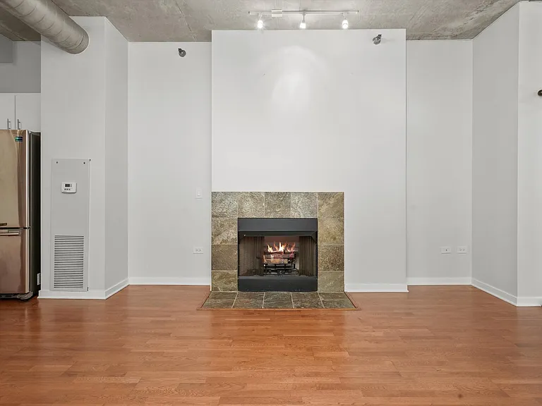 700 N Larrabee St #1004 — Photo 3